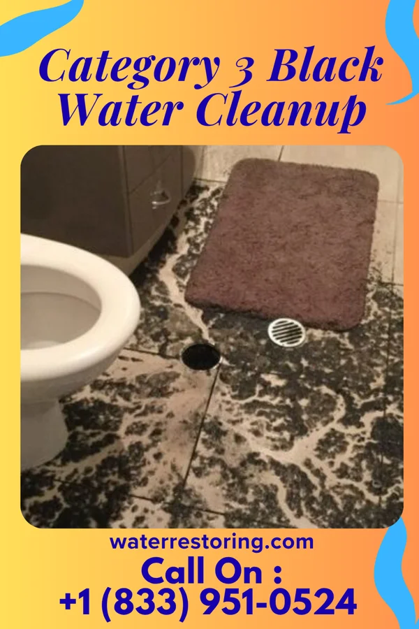 Category 3 Black Water Cleanup in Rome City, IN