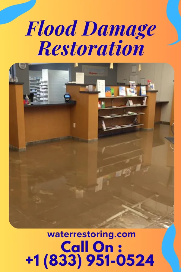 Flood Damage Restoration in Rome City, IN