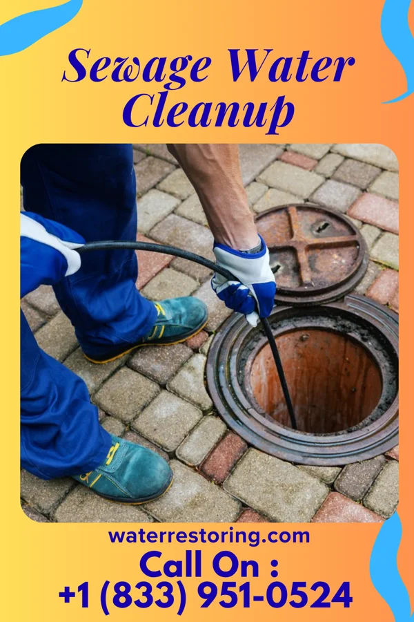 Sewage Water Cleanup in Rome City, IN